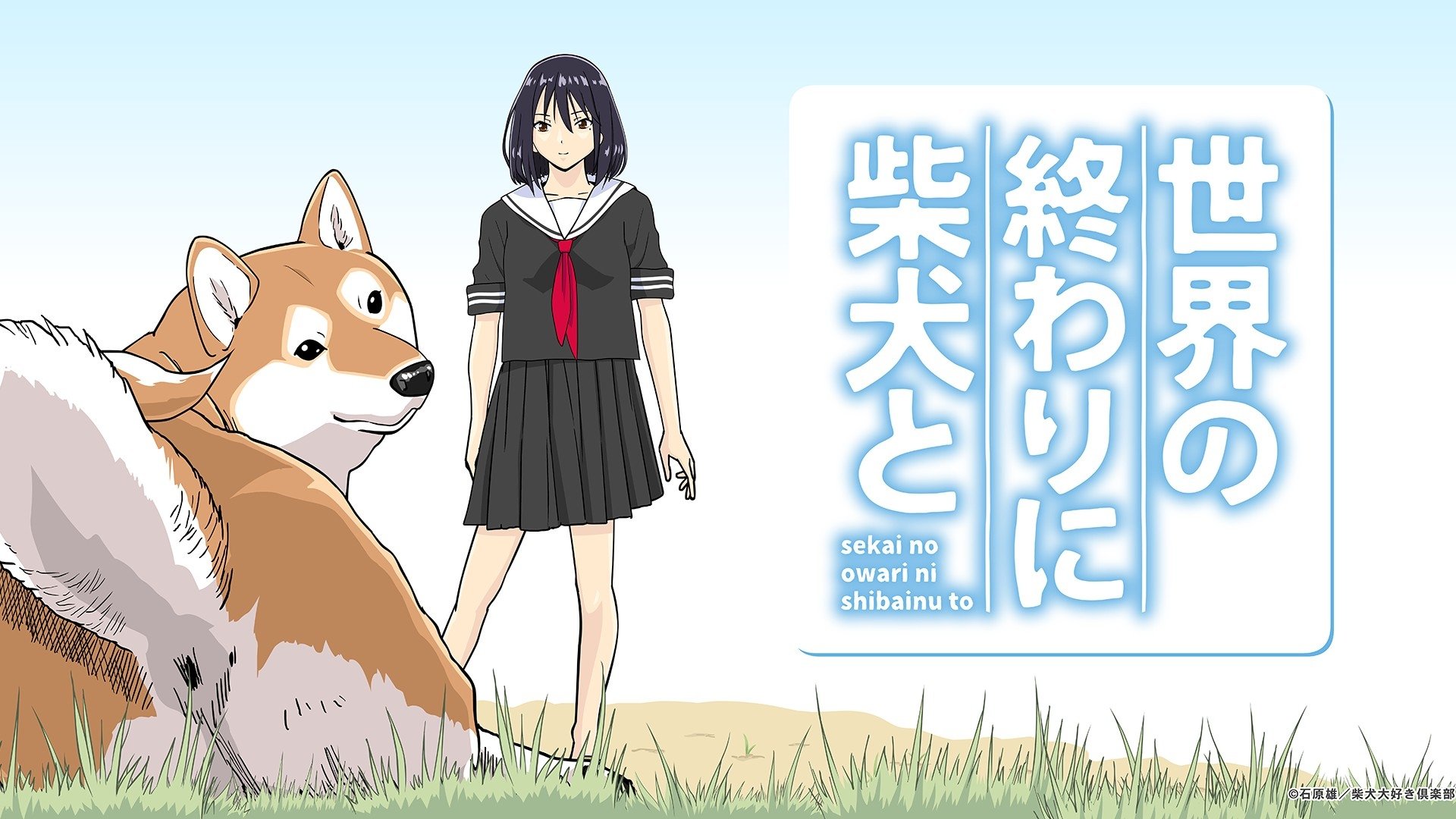 สรุปอนิเมะ Sekai no Owari ni Shiba Inu to วัสดุคุณภาพสูง